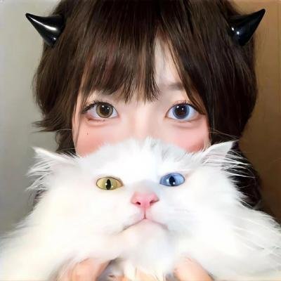 奉旨杀人