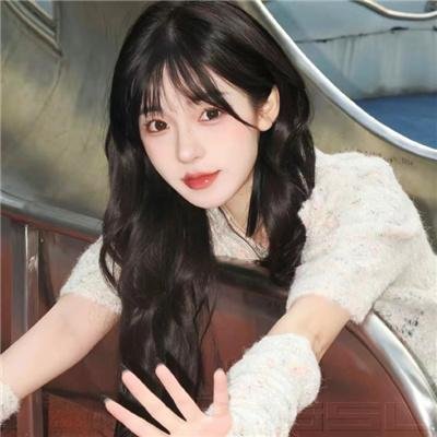 狮子护卫队第二季